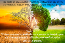 TRANSFORMACIÓN.png TRANSFORMACIÓN.png